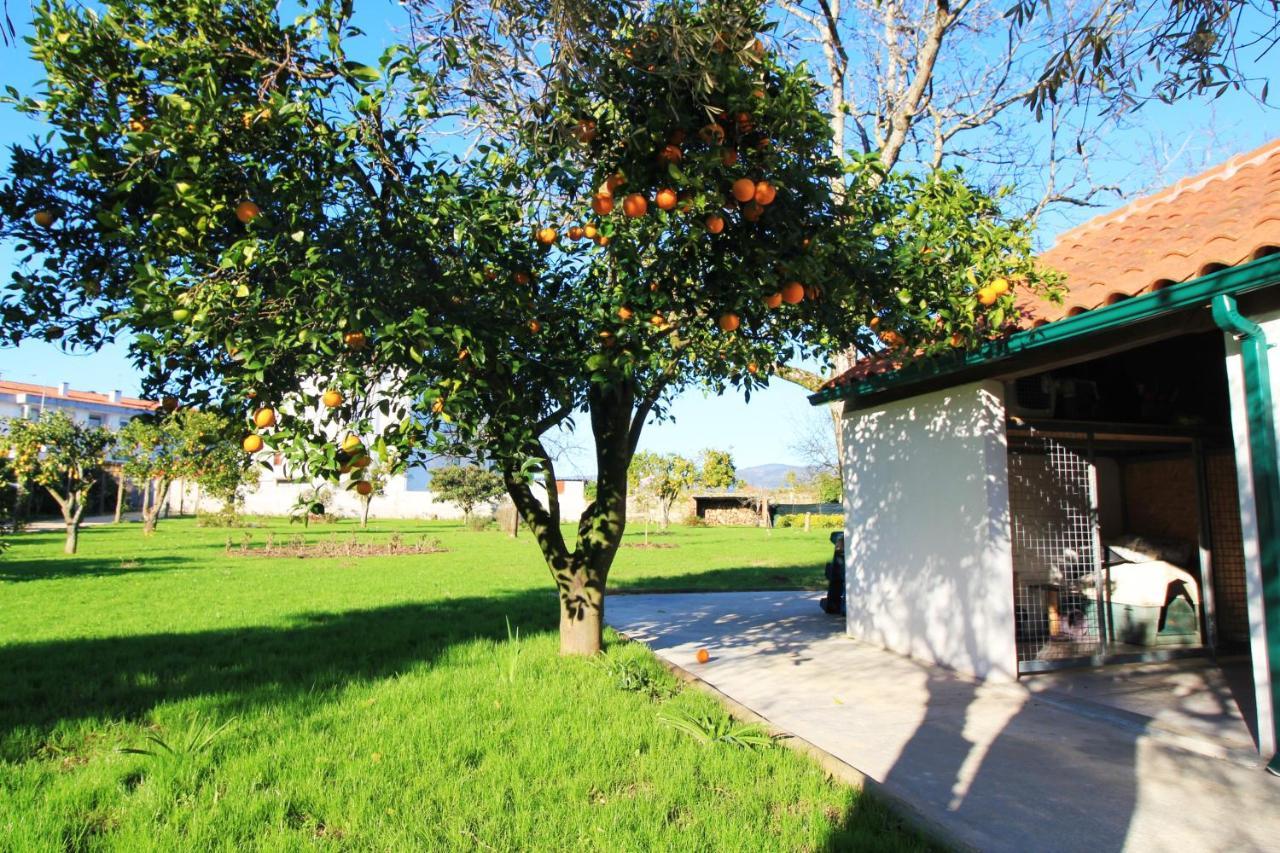 Casa dos Ouriços Ponte de Lima Exterior foto